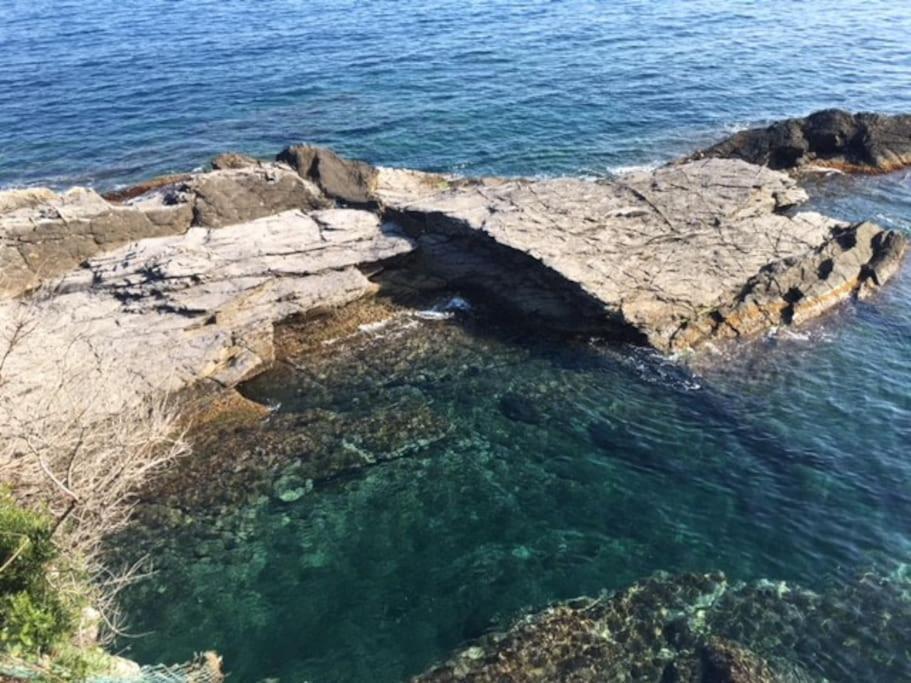 New Suite Sul Mare N. 2 Recco Bagian luar foto
